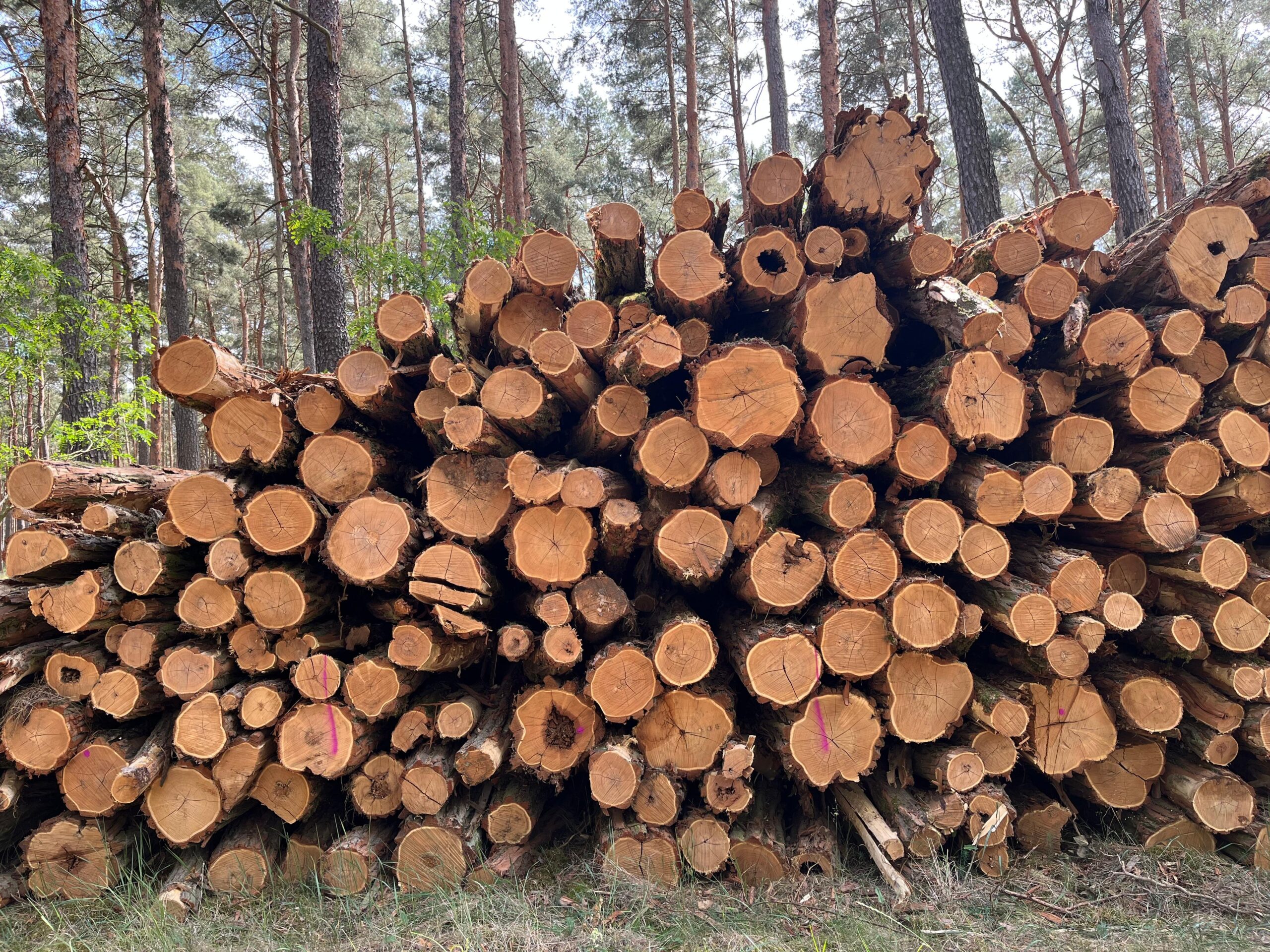 IMG-20250525-WA0054